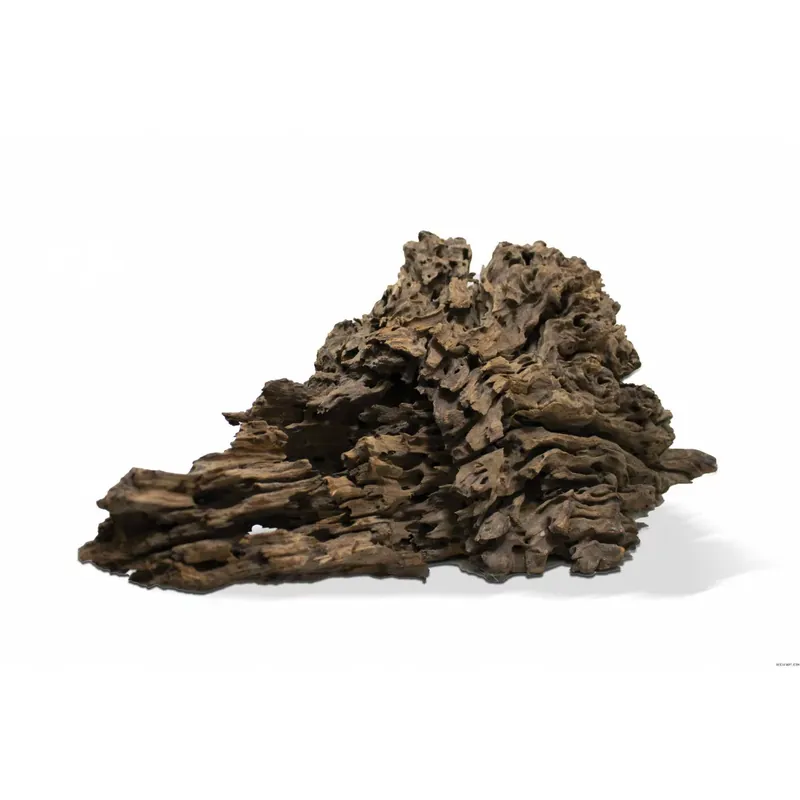 Acheter En Ligne RACINE POOKANATUR X BIG 60-100cm