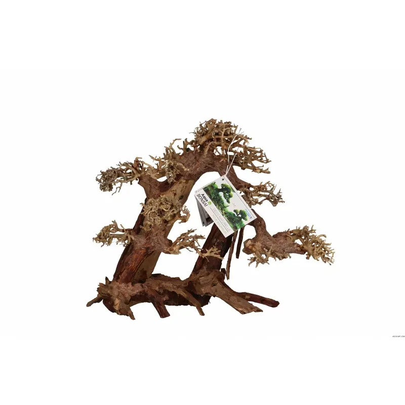 AQUAVIE BONSAI NATUR XL+ Commande En Gros