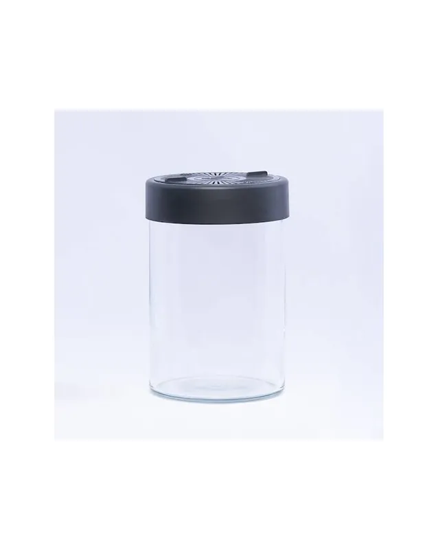 VivoVerde Micro Terrarium Satisfait Ou Remboursé