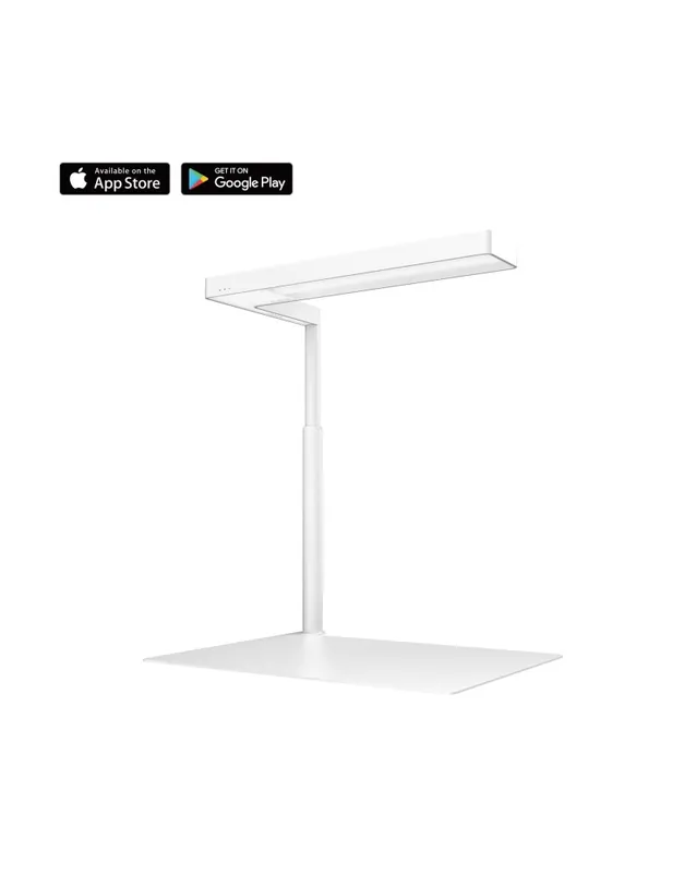 ONF Flat Nano+ White – Stand Incl. Offre Spéciale
