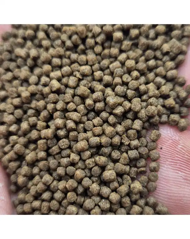Livraison Gratuite Skaii&rsquo;s Basic Shrimp Pearls – 30g