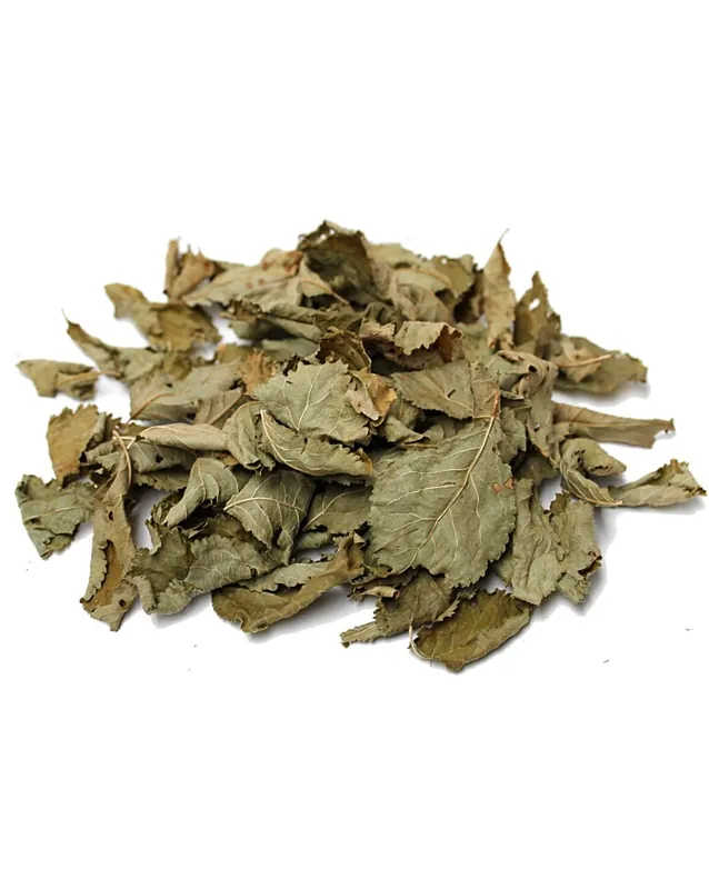 Acheter Direct Feuilles de Prunier x10