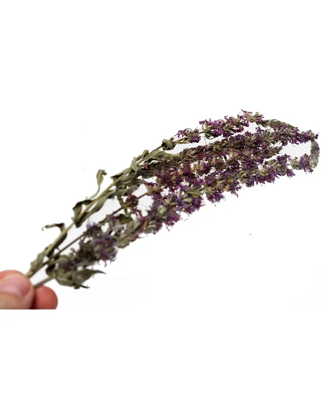 2-3 Fleurs de Salicaires Offre Du Jour