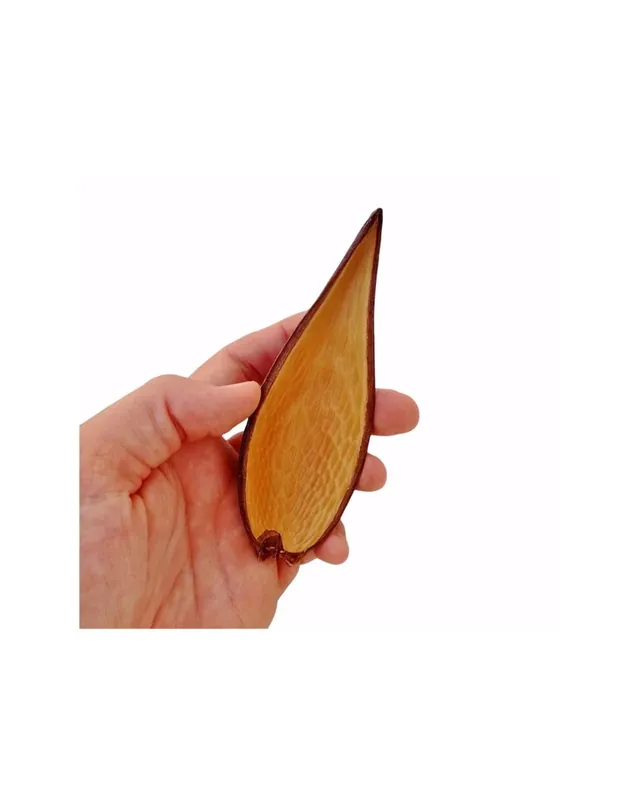 Achetez Aujourd’hui Canoinhas Pod – 10-14cm